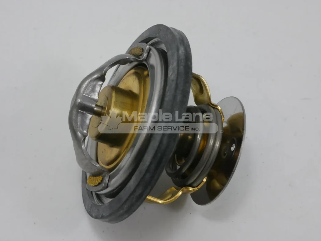 ACP1033160 Thermostat