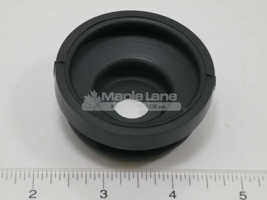 ACP1100450 Cap