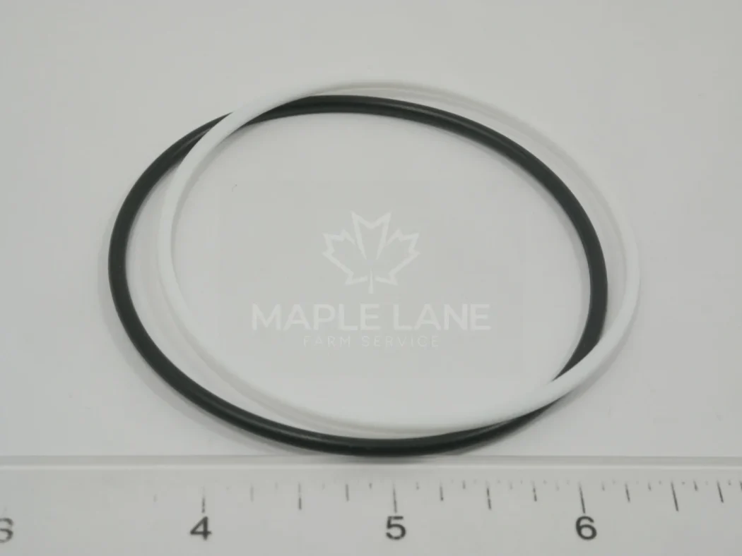 V37944100 Seal