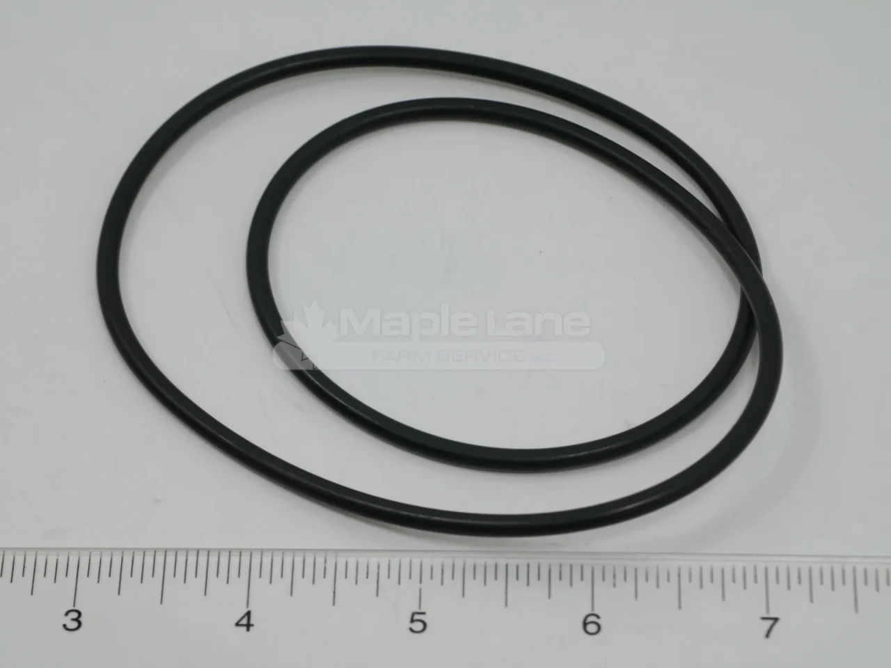 703149 O-Ring
