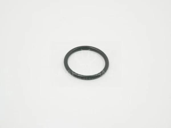 72434051 O-Ring