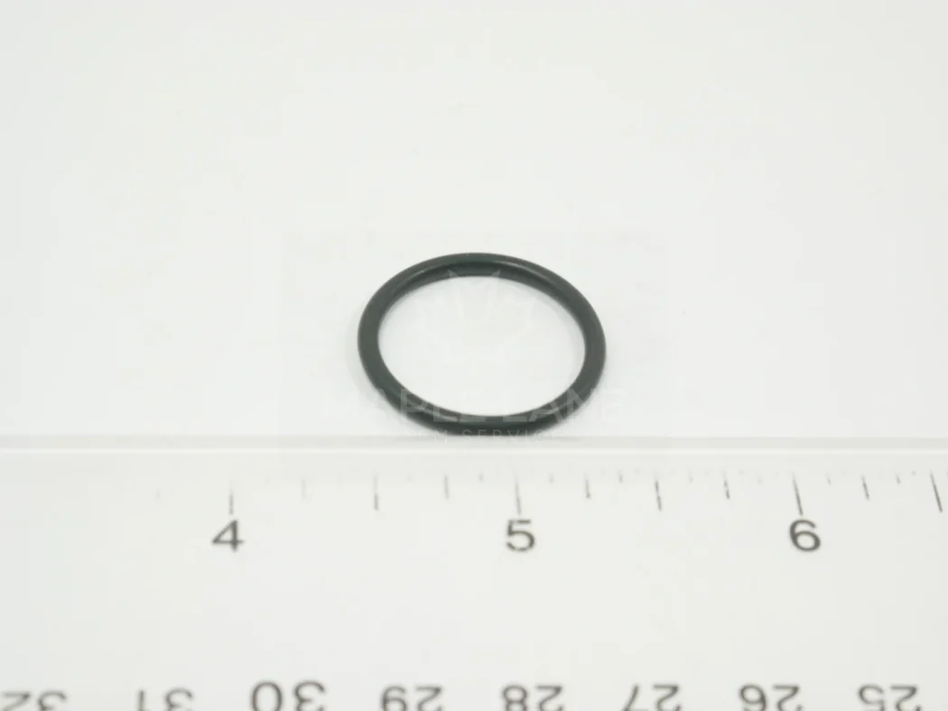 72434051 O-Ring
