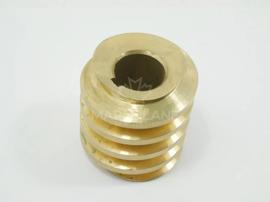 19-0257-7 Worm Gear