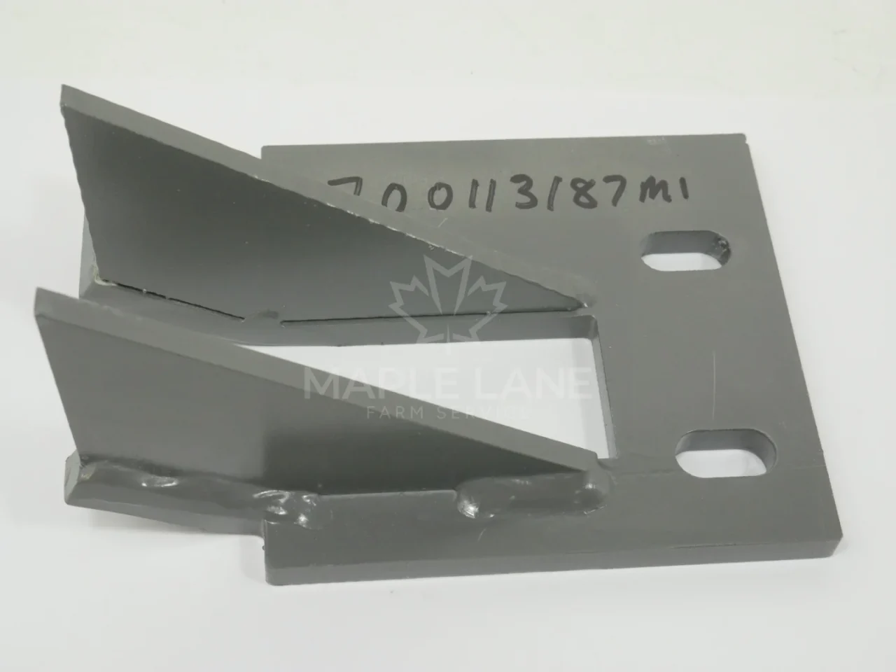 700113187ML Plunger Plate