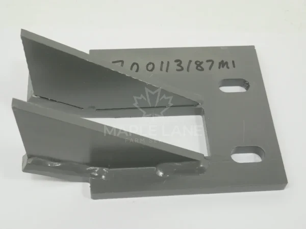 700113187ML Plunger Plate