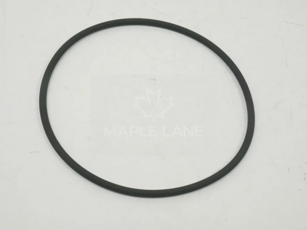 3382253M1 o-ring