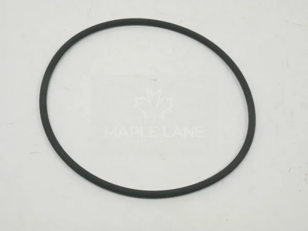 3382253M1 o-ring