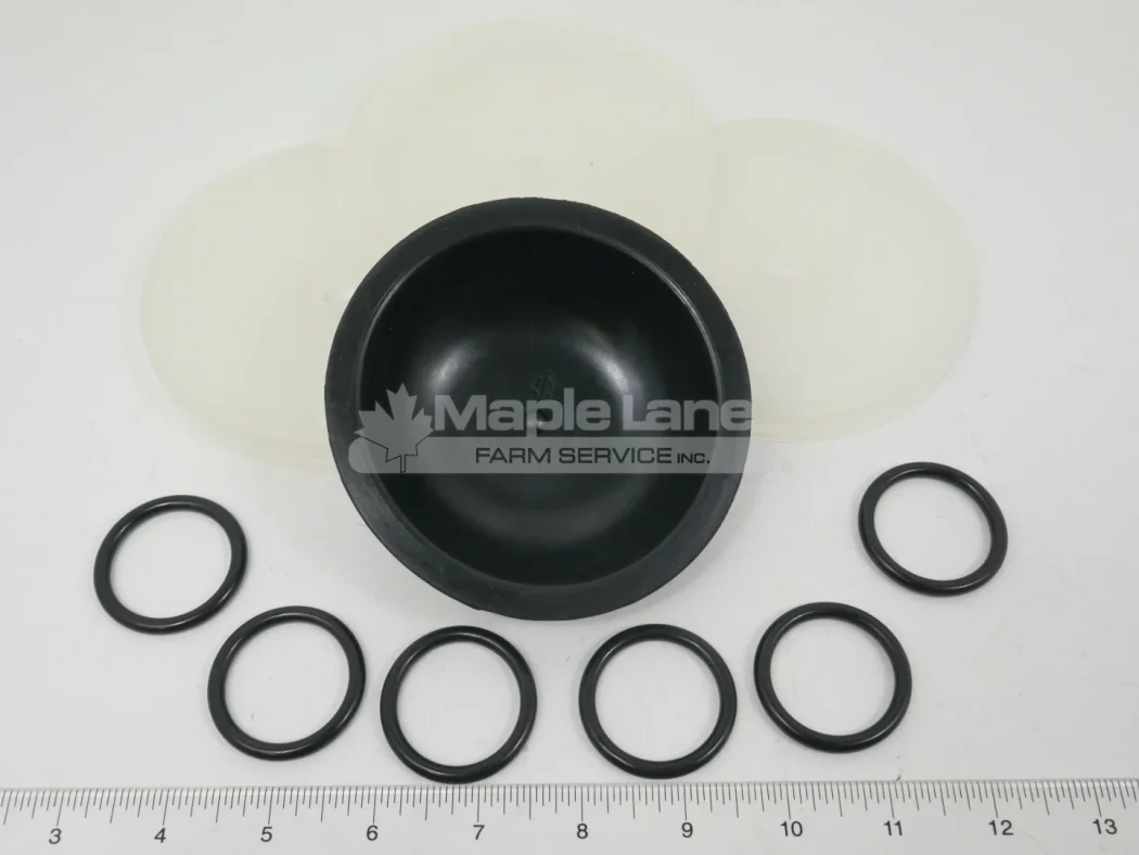9910-KIT1721 D115 Pump Repair Kit