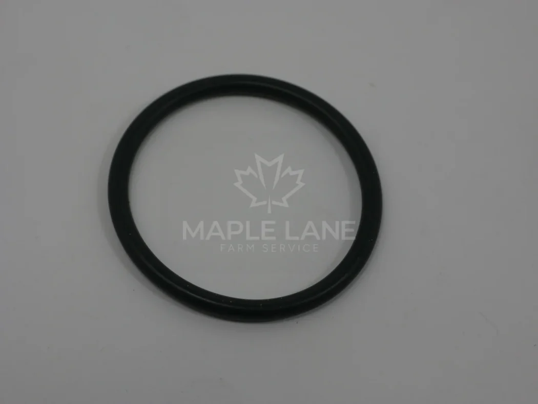 4299993M1 o-ring
