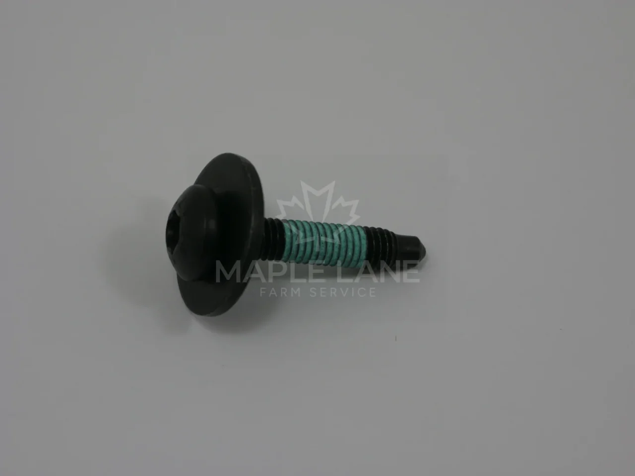 72665620 Screw