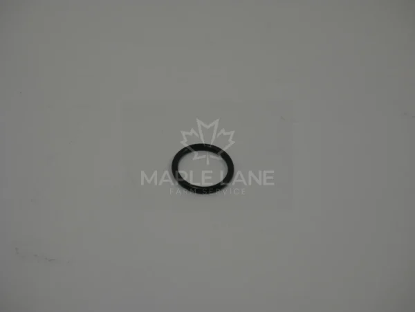 401379X1 O-Ring