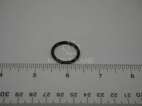 401379X1 O-Ring