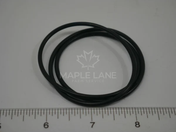 AG000338 O-Ring