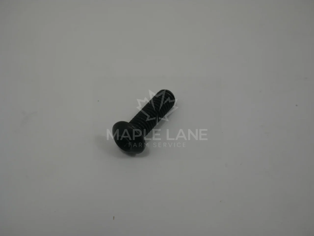 202418 Bolt