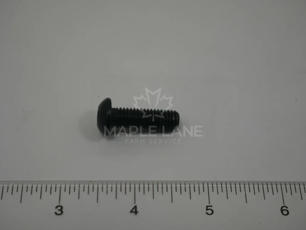 202418 Bolt