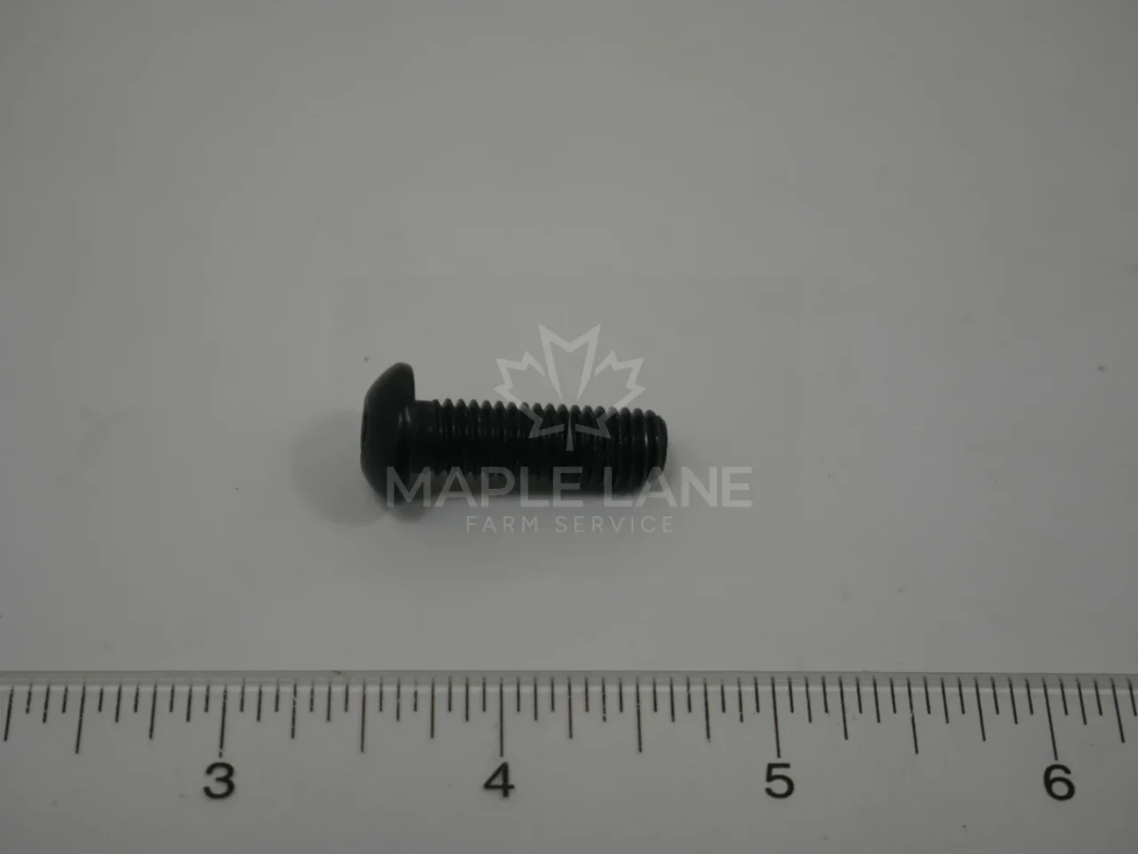 202418 Bolt