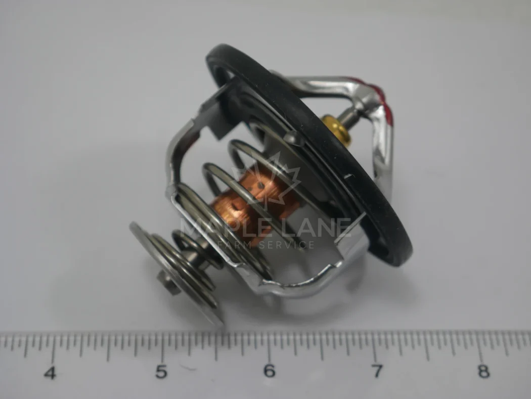 52716753 Thermostat