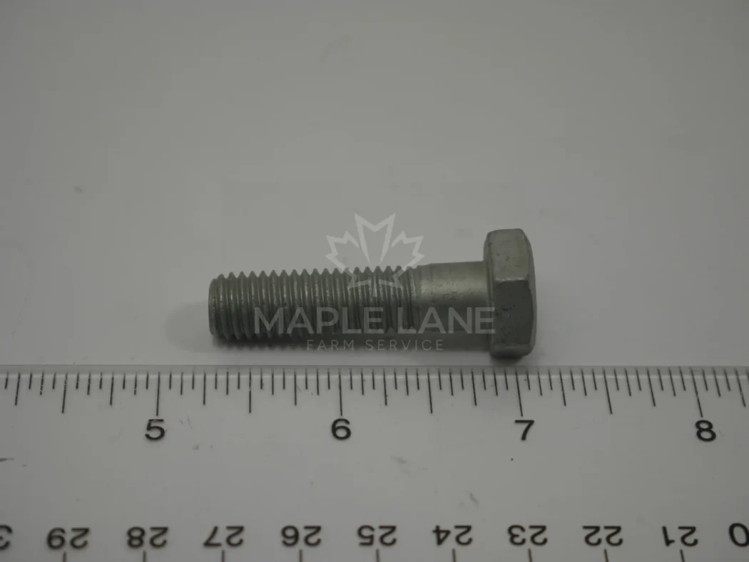3009495X1 Bolt