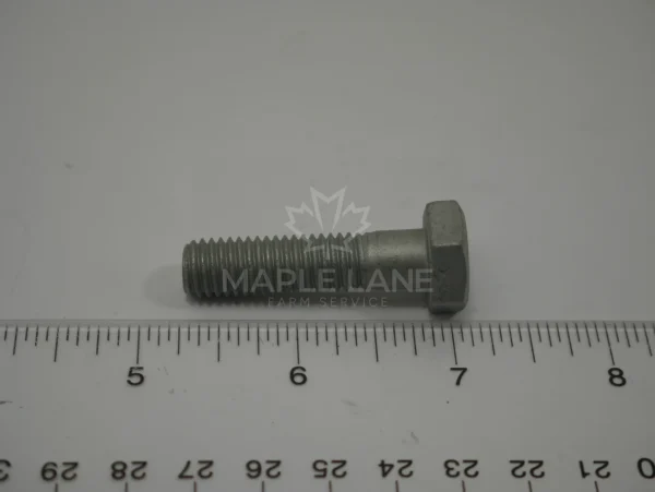 3009495X1 Bolt