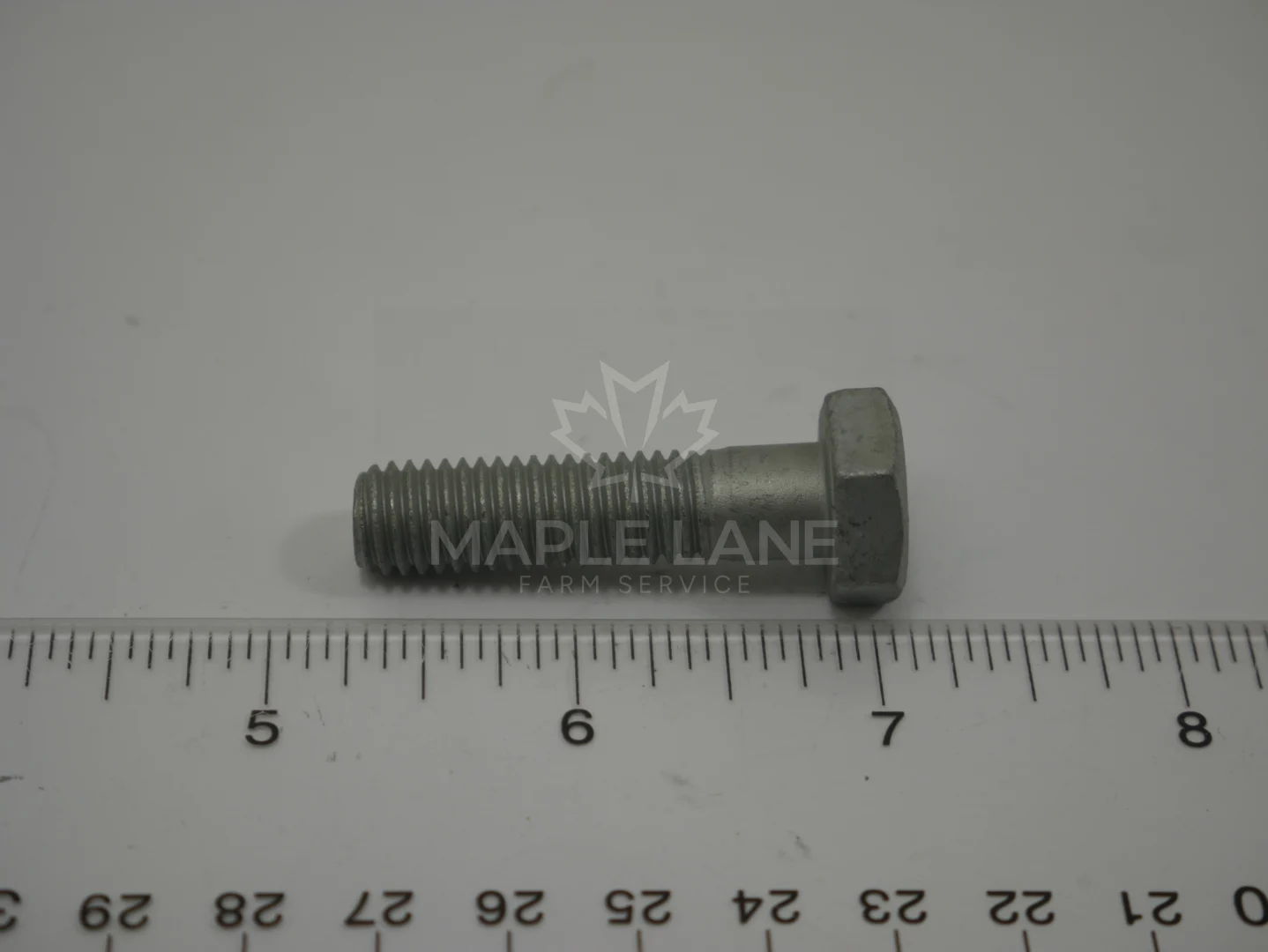 3009495X1 Bolt