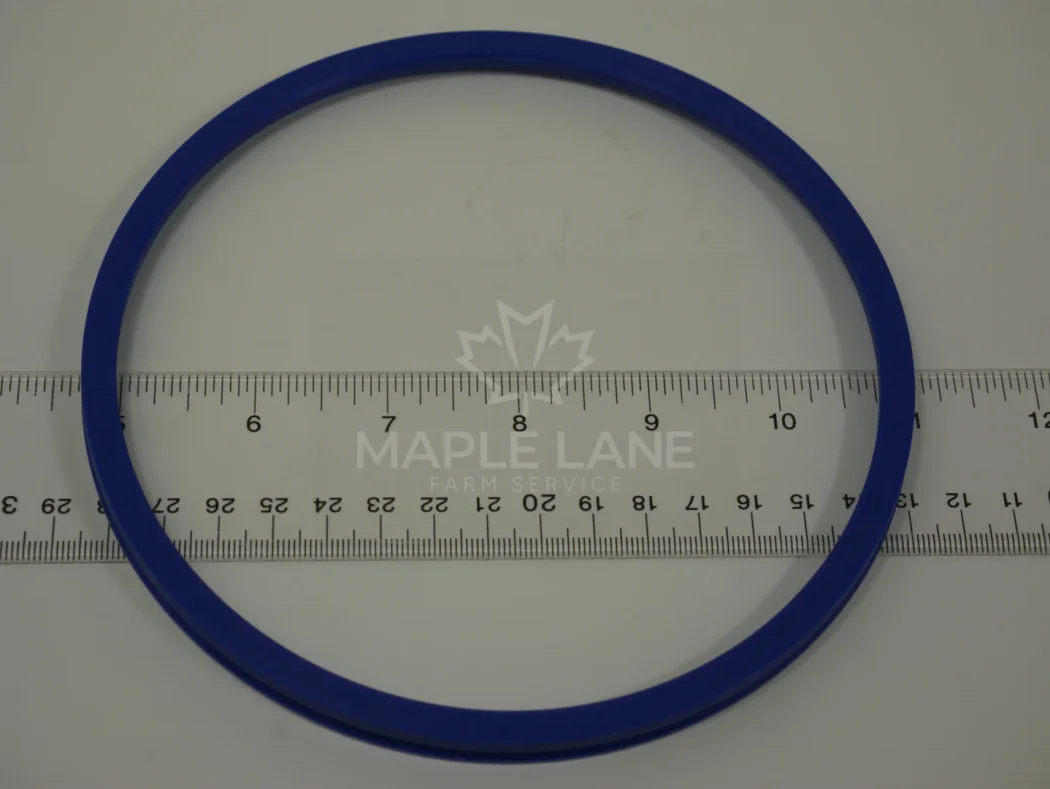 3429169M1 Oil Seal