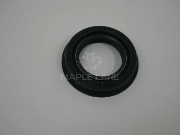 4264929M1 Oil Seal