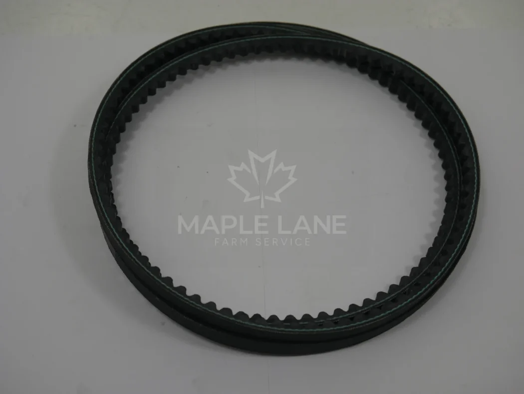 72679614 V-belt