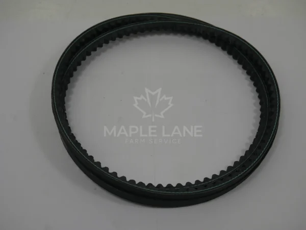 72679614 V-belt