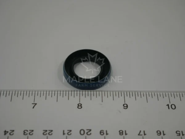 832417M1 Seal