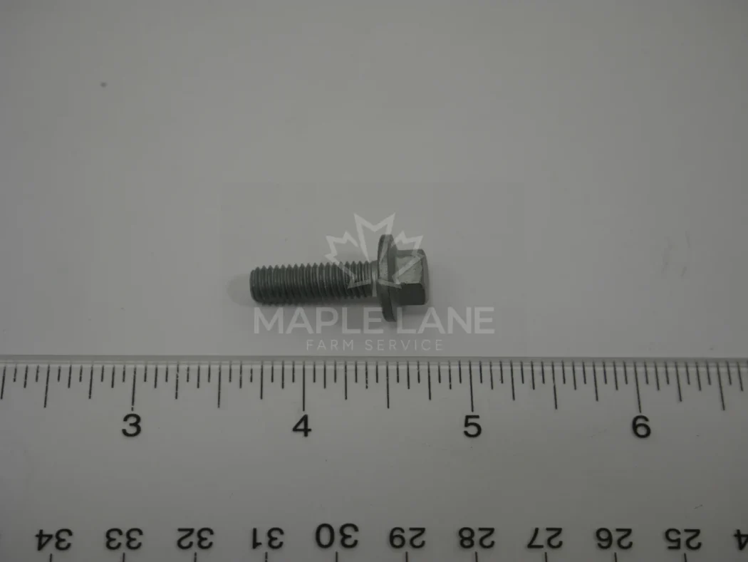 ACW1041160 Bolt