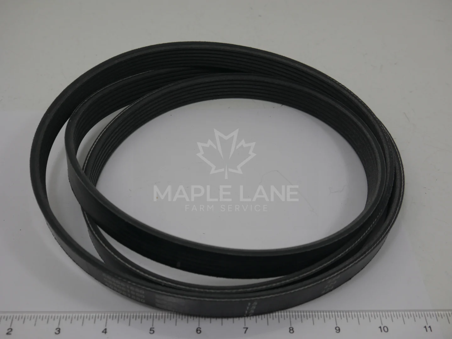 V685061850 Belt