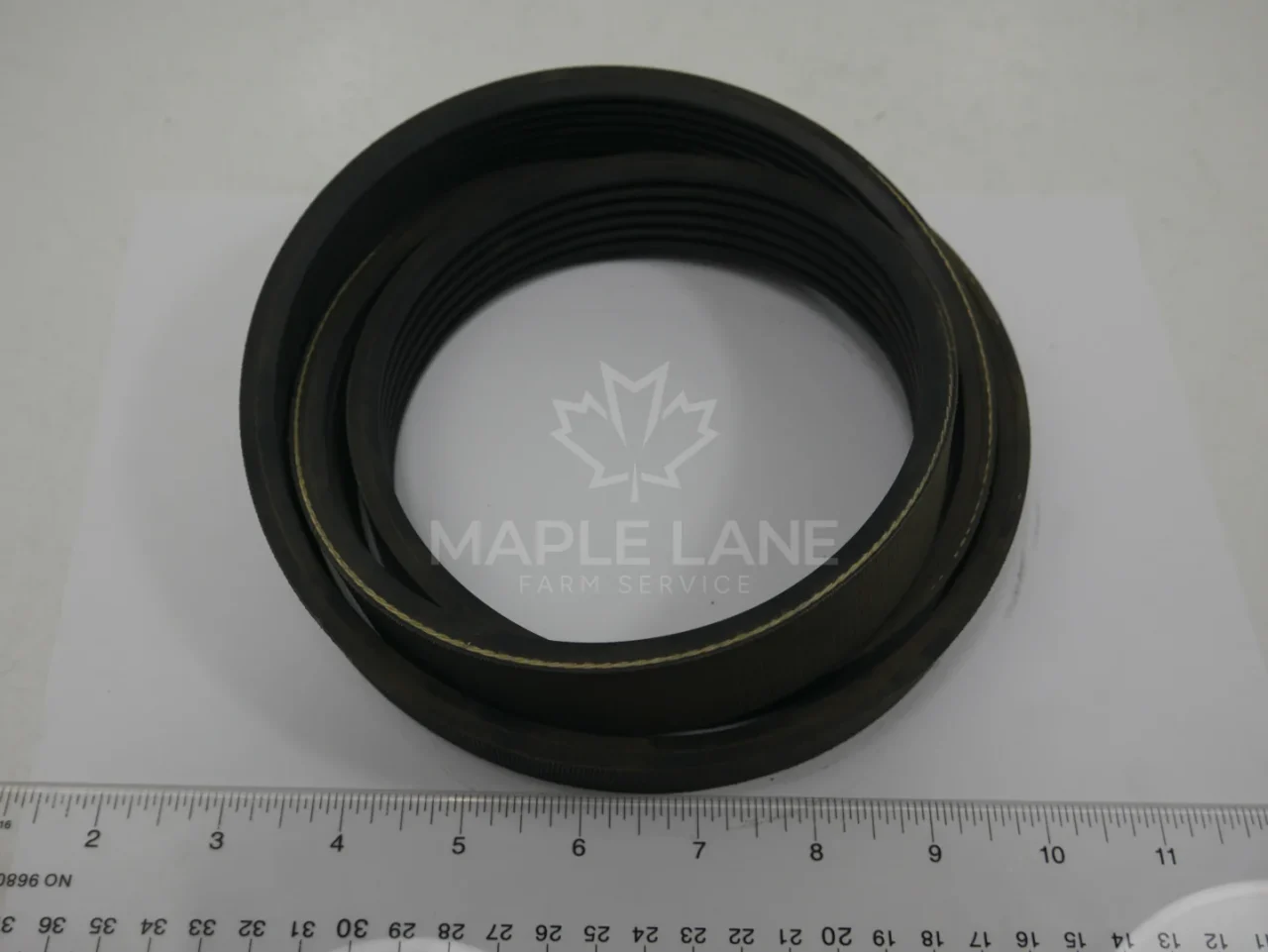 200141 BELT