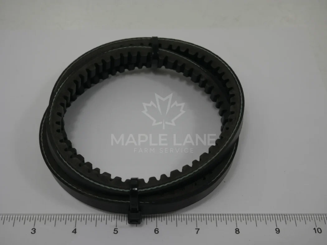 183536 Belt