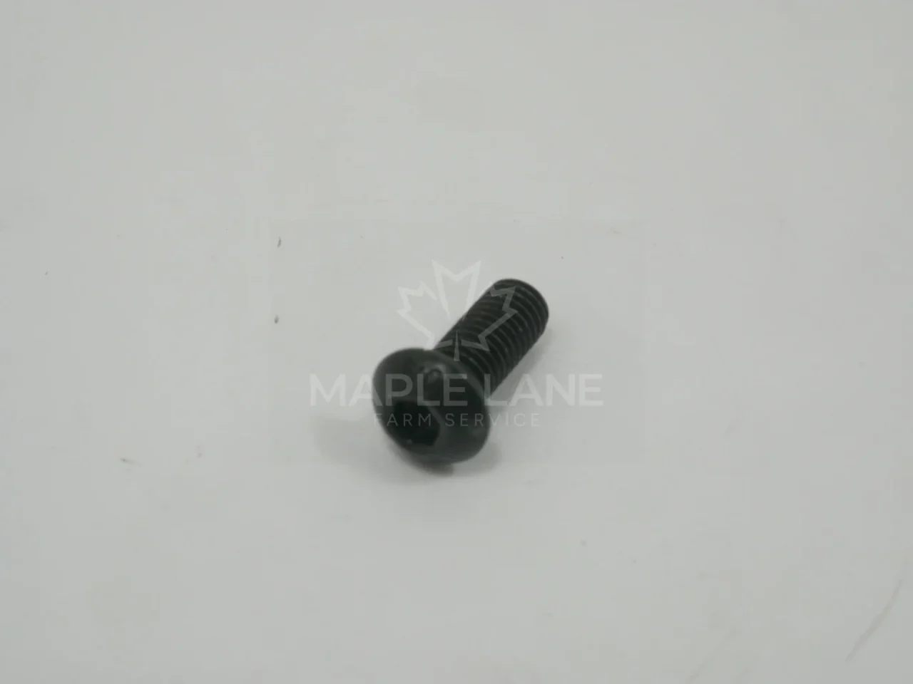 202144 Bolt