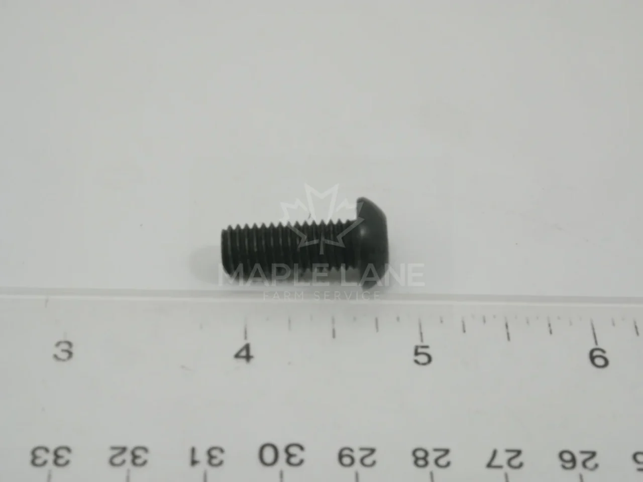 202144 Bolt