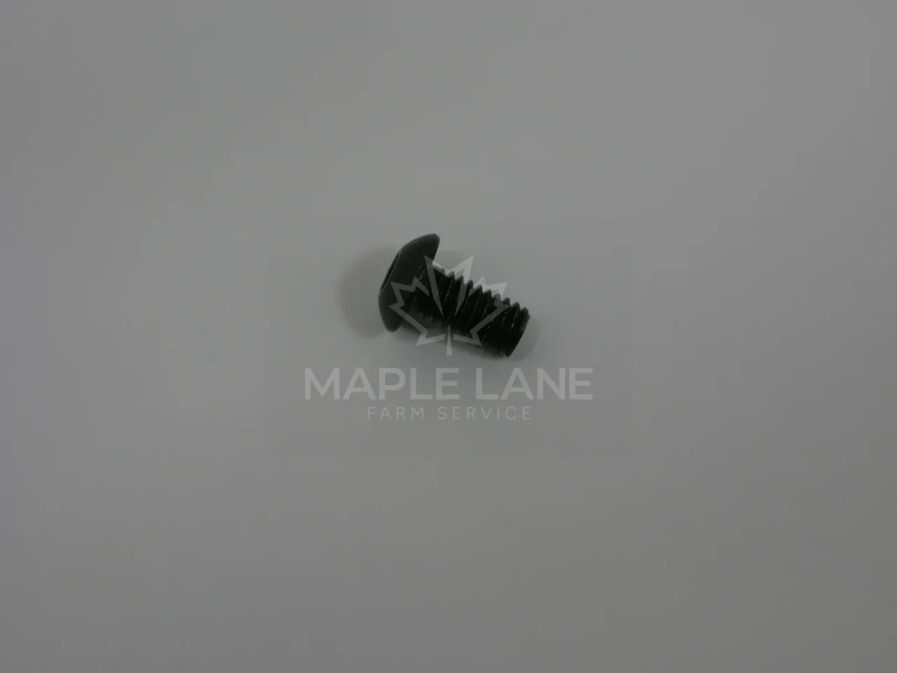226606 Screw