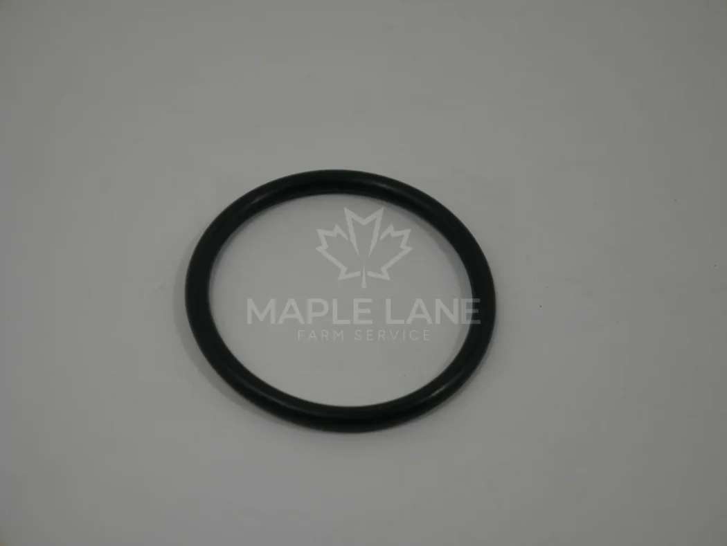 600910 O-ring