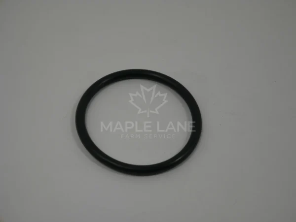 600910 O-ring