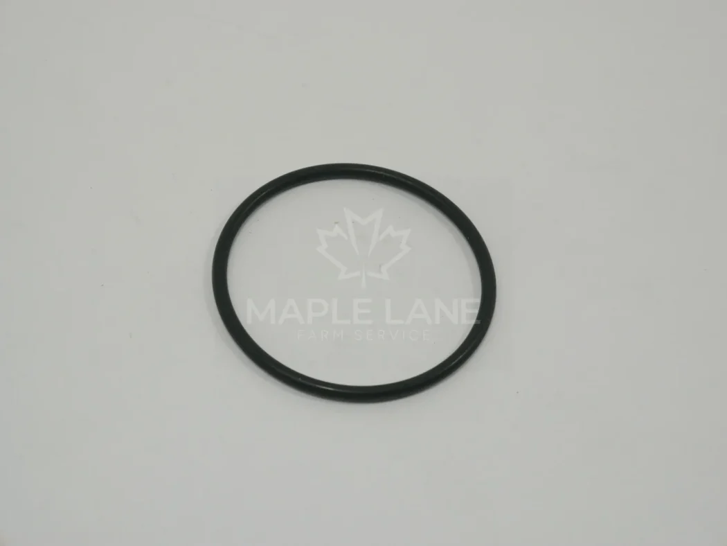 3765901M1 O-Ring