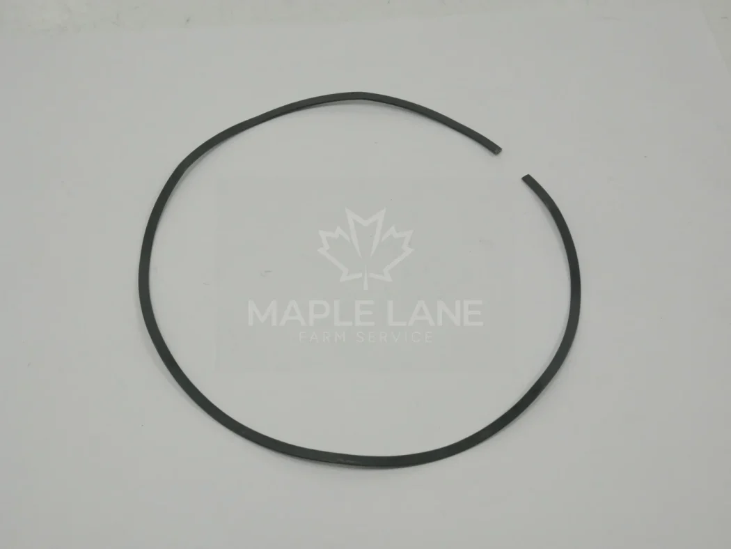 3795274M1 Spring