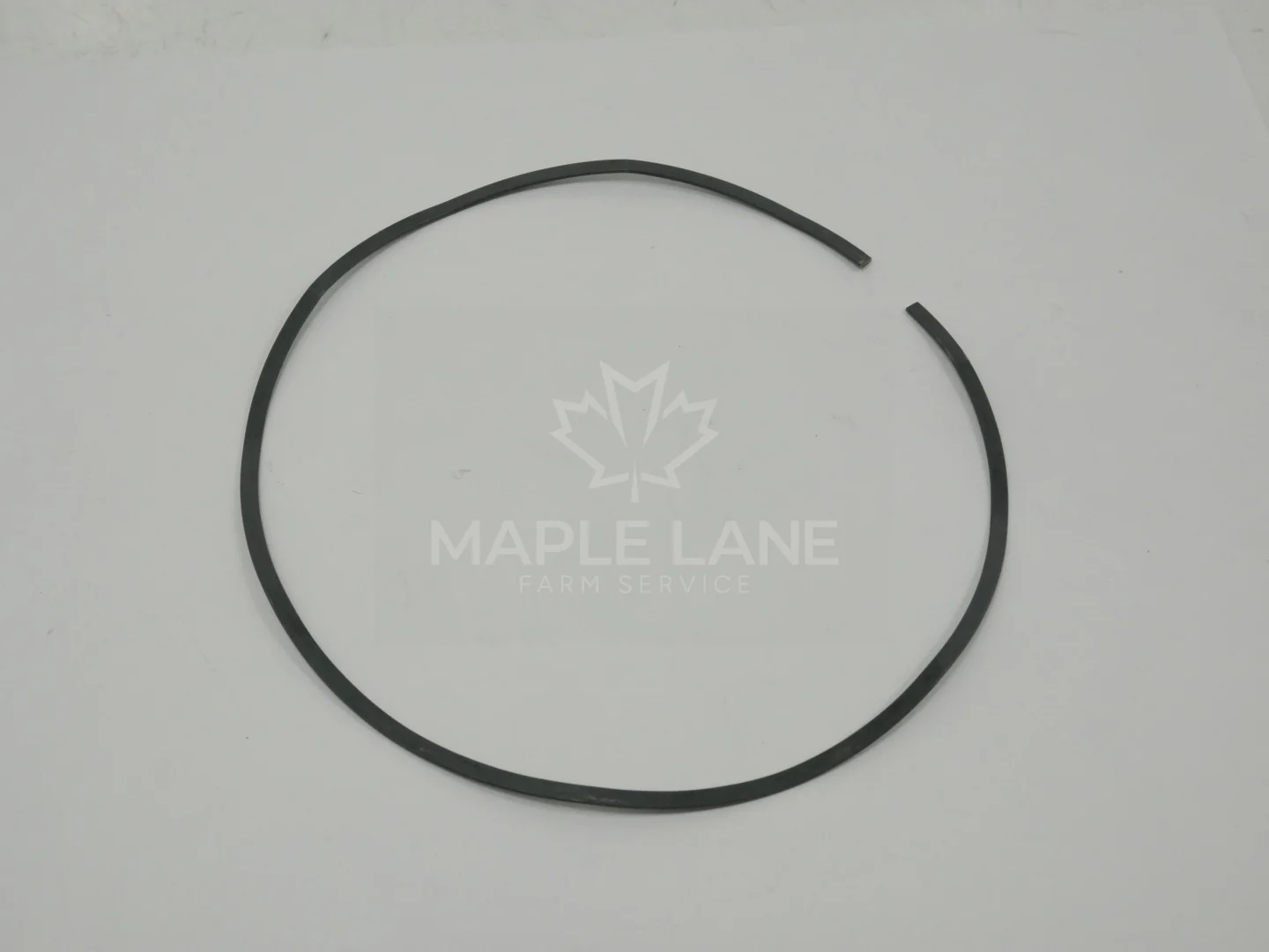 3795274M1 Spring