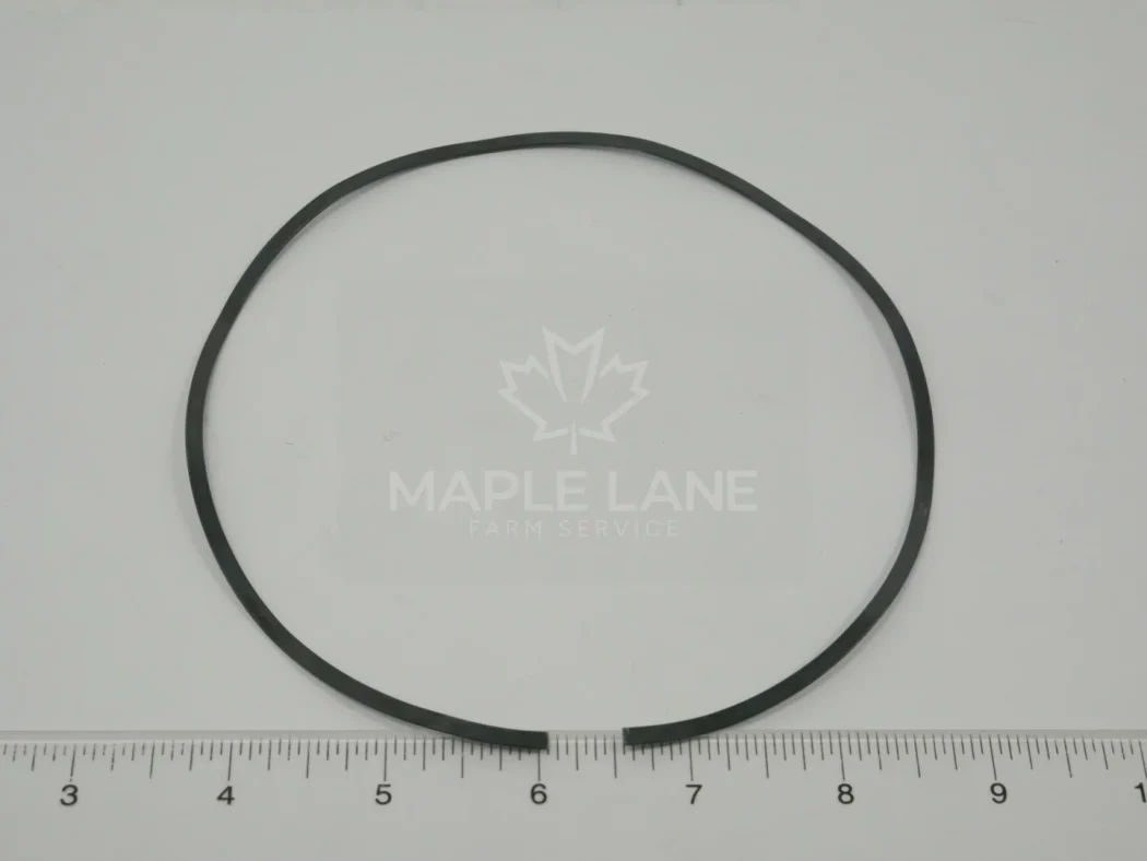 3795274M1 Spring