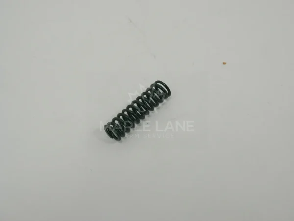 3907020M1 Spring