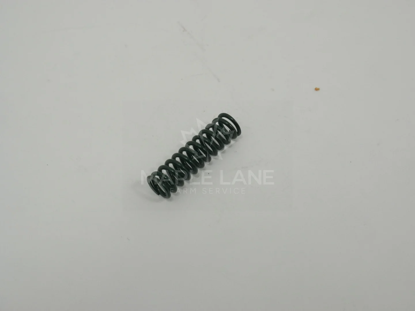 3907020M1 Spring