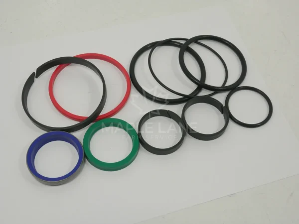 3907875M91 Seal Kit