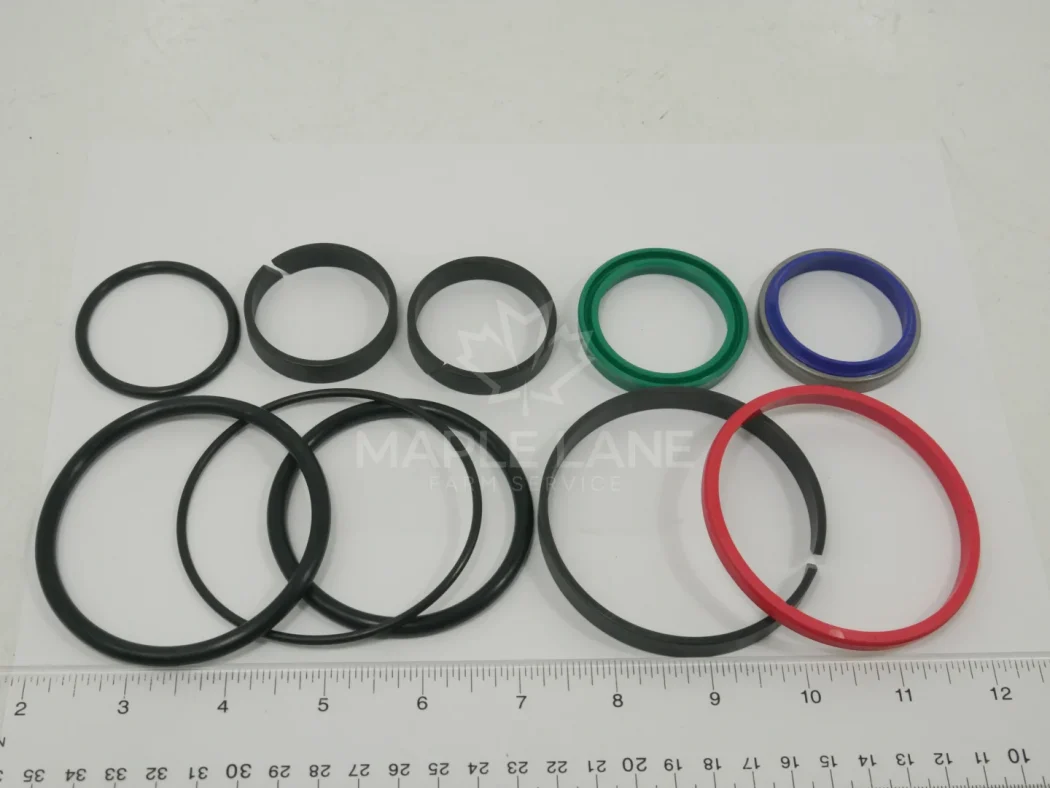 3907875M91 Seal Kit