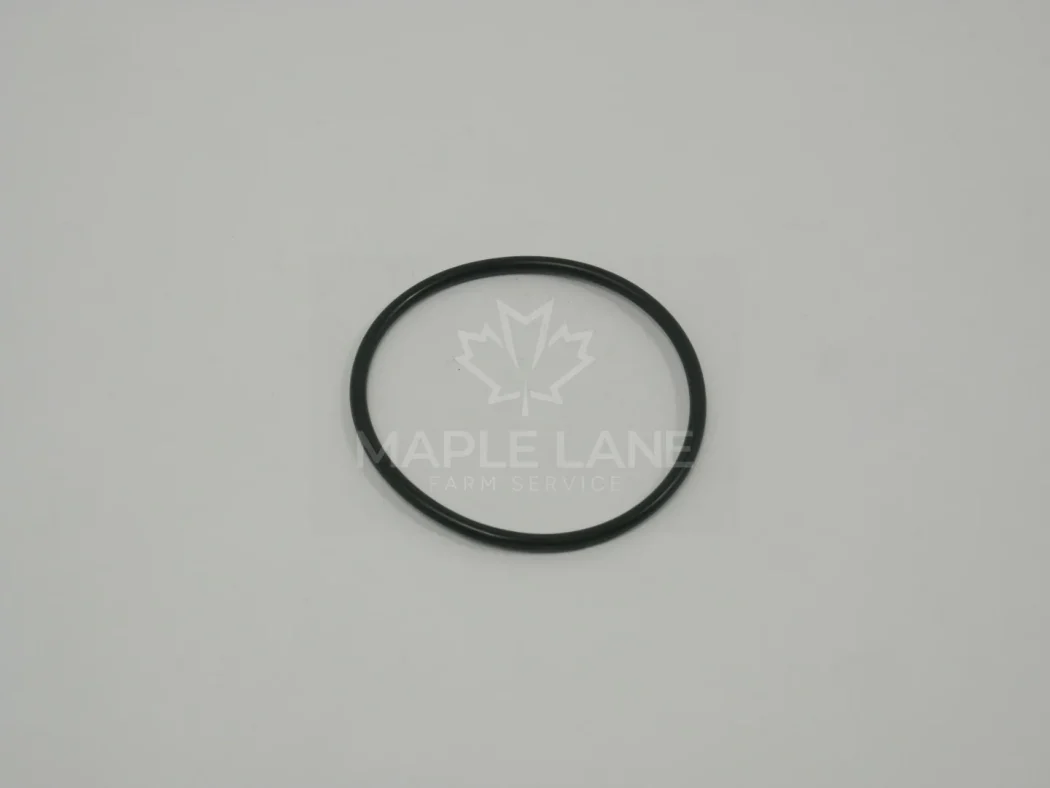 3909350M1 O-Ring