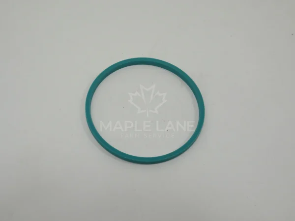 72418449 Seal
