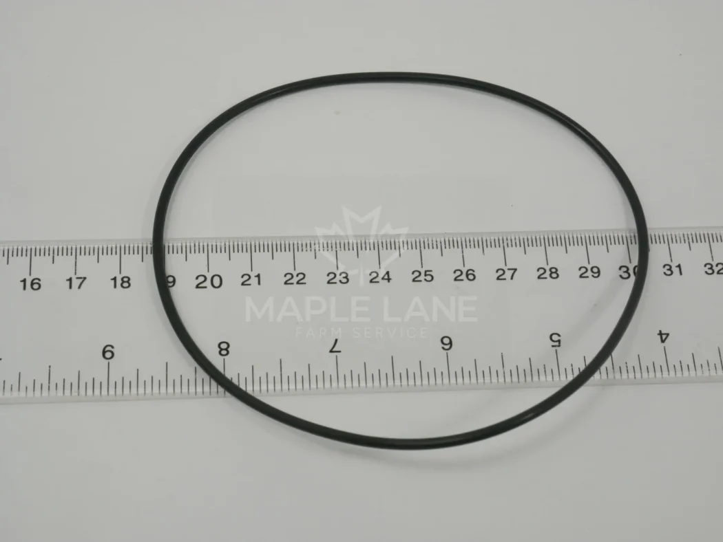 ACP0494740 O-Ring
