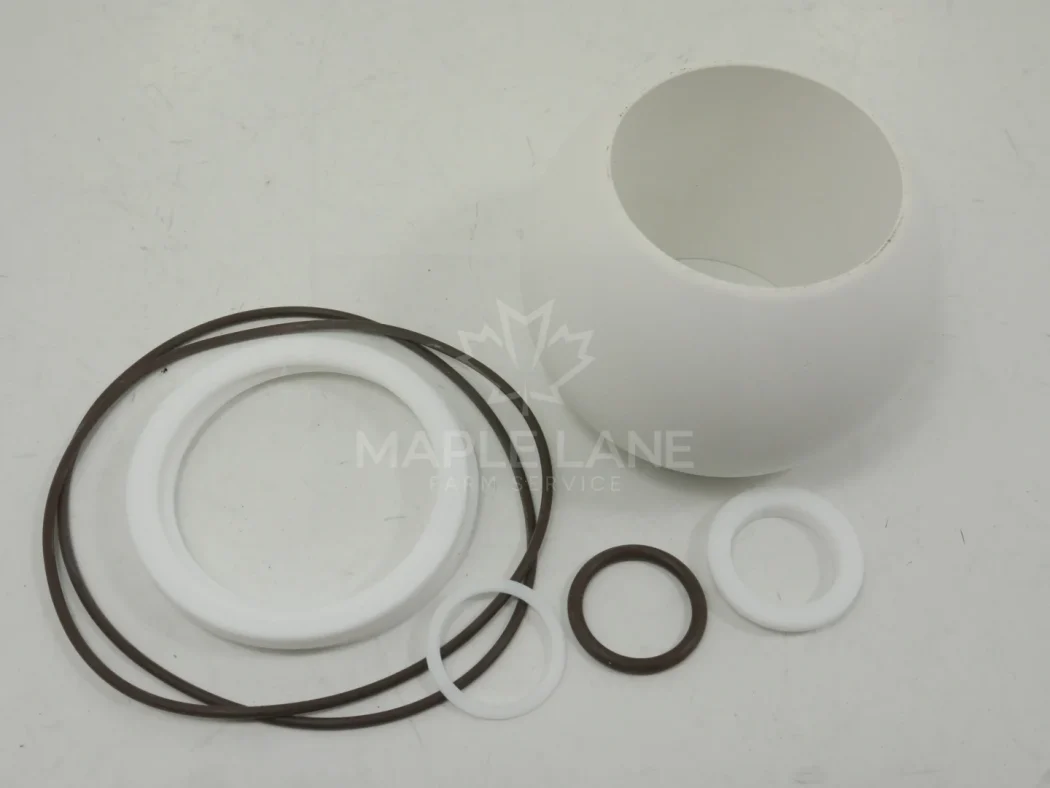 AG054187 Banjo V30200 Valve Kit